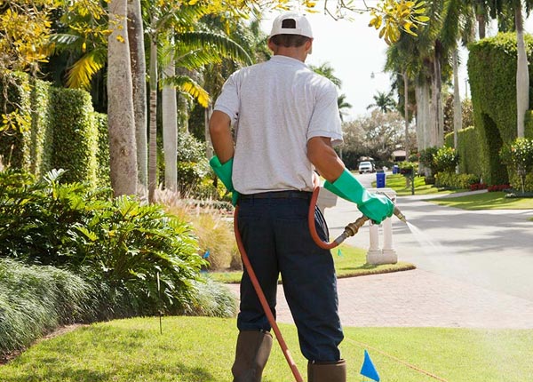 About Round Top TX Pest Control